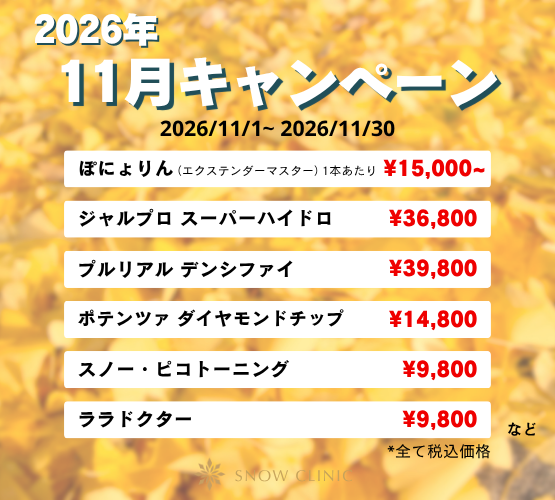 スノークリニック2026年11月キャンペーン