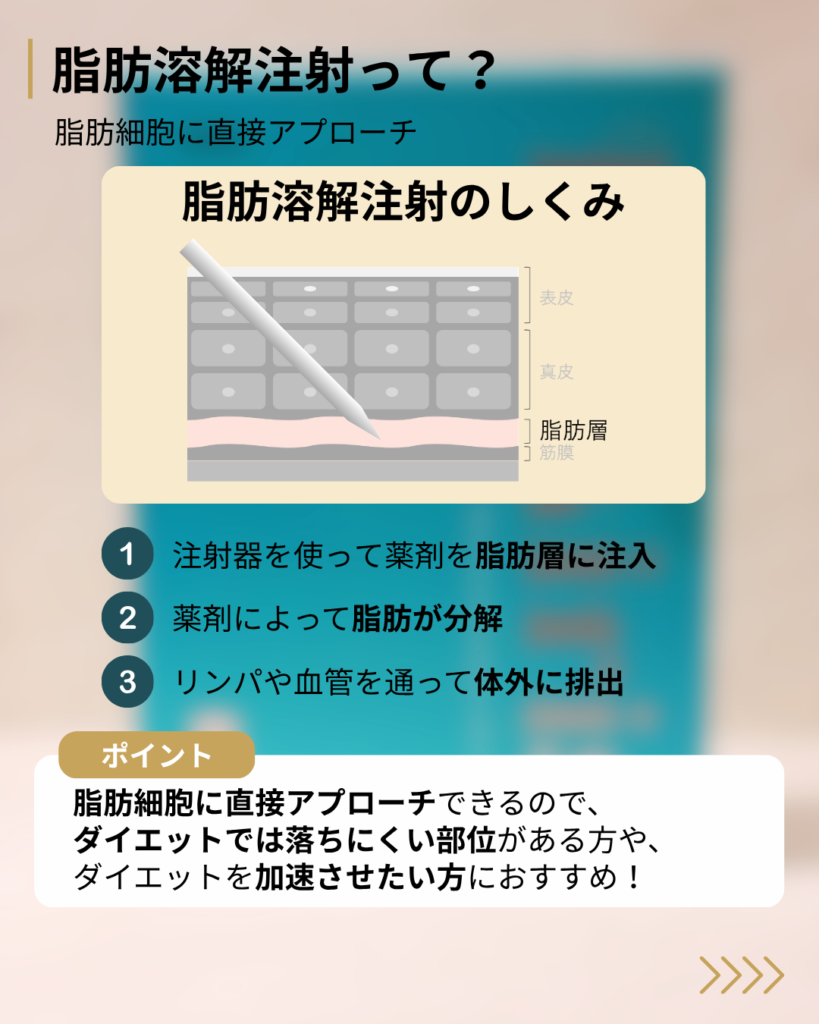 脂肪溶解注射の仕組み