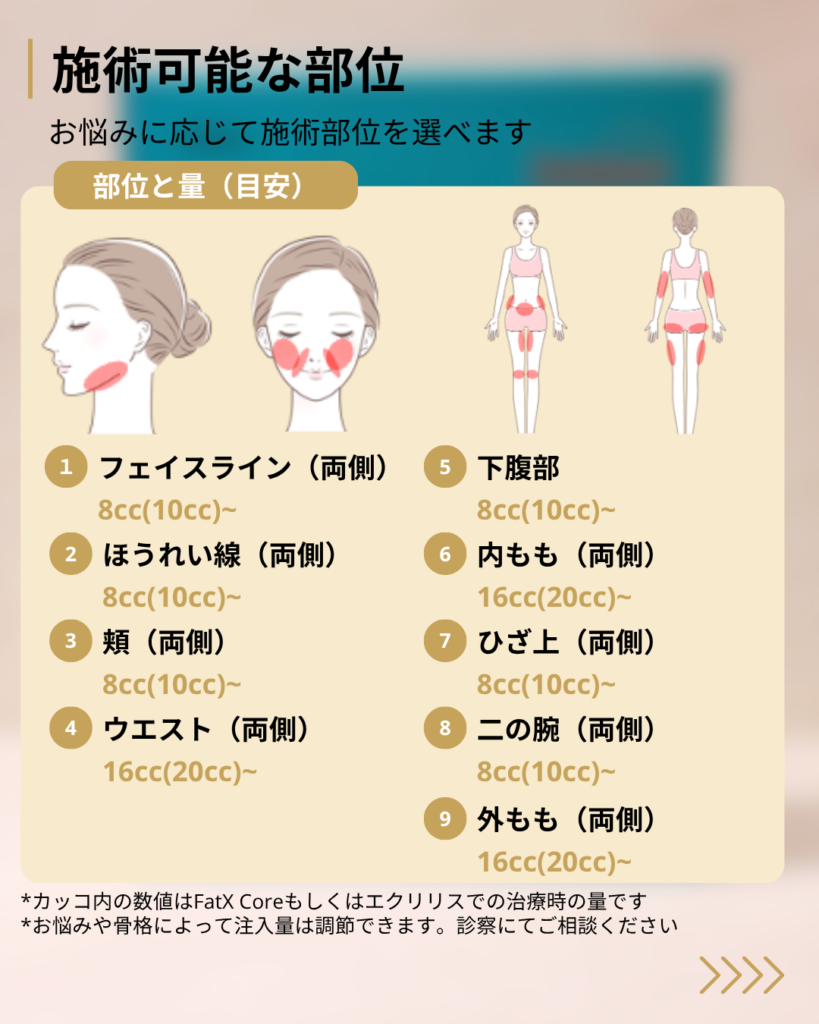 脂肪溶解注射の施術部位と量の目安